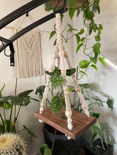 a plant in a pot on top of a wooden shelf next to a wall hanging