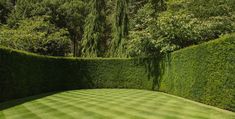 a large green lawn surrounded by hedges and trees