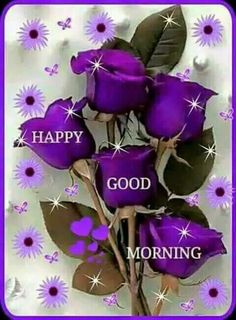 three purple roses with the words happy good morning