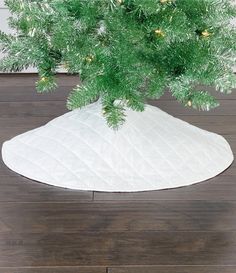 there is a small tree in the middle of a white potted planter on top of a wooden floor