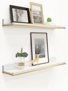 two framed pictures are sitting on the wall above a shelf with some plants and other items