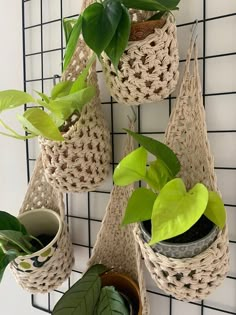 some plants are hanging on the wall near pots and baskets with handles for plant hangers