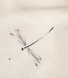 a black and white photo of a dragonfly tattoo