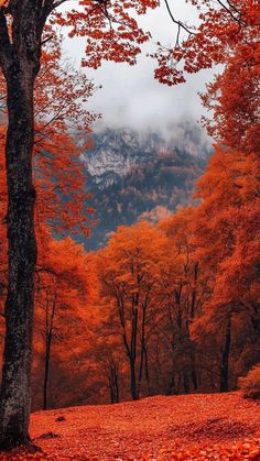 an autumn scene with red leaves on the ground and mountains in the distance behind them