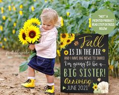 Baseball First Birthday, Big Brother Announcement, Baby Number 2