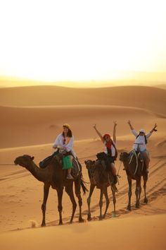 three people riding on camels in the desert at sunset with their arms raised up