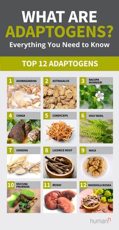 What Are Adaptogens? Get the Inside Scoop Adaptogenic Herbs, Herbal Healing, Natural Cough Remedies, Herbs For Health, Healing Herbs, Healthy Eating Habits, Holistic Wellness, Medicinal Herbs, Medicinal Plants