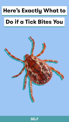 a tick that is sitting on top of a blue background with the words here's exactly what to do if a tick bites you