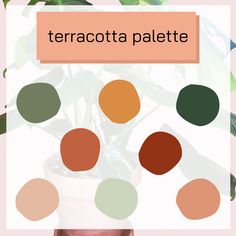 a potted plant with the words terracotta palete on it in different colors