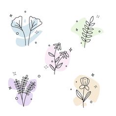 four hand drawn flowers on a white background