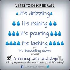 an ad with the words it's raining and dogs written in blue on white