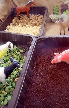 two trays filled with different types of animals and plants on top of each other