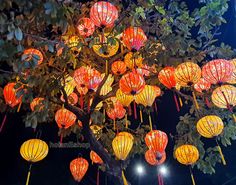 many red and yellow lanterns are hanging from a tree in the night sky, with lights shining on them