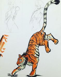 a drawing of a tiger running with its tail in the air and another animal behind it