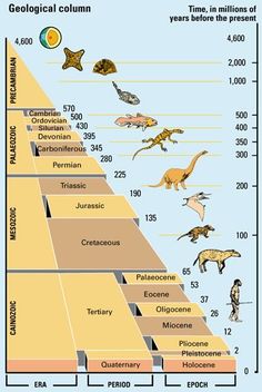 an image of a pyramid with dinosaurs and other animals on it's bottom line