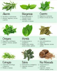 an image of herbs and their names in spanish