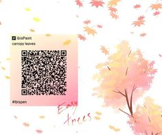 a qr - code scan on a tree with autumn leaves