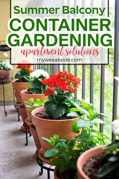 a balcony with potted plants and the words summer balony container gardening apartment solutions