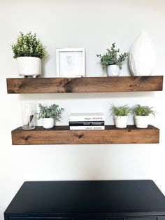 two wooden shelves with plants and books on them