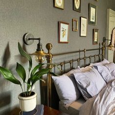 a bedroom with a bed, potted plant and pictures on the wall