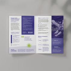 Plaquette commerciale - mise en page - design graphique Mise En Page Design, One Pager Design, Ebook Layout, Indesign Layout, Brochure Design Creative, Brochure Design Layout