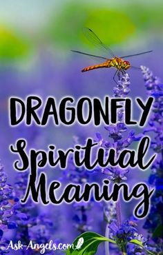 a dragonfly sitting on top of purple flowers with the words dragonfly spirital meaning