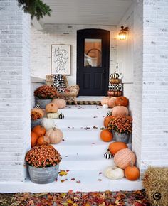 pumpkins and gourds are sitting on the steps