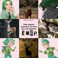 Enfp Core, Enfp Aesthetic, Infp Personality, Mbti Character