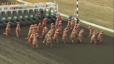 a group of people in animal costumes on a race track