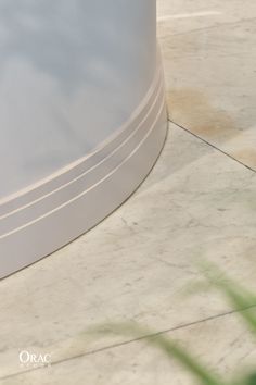 a cat sitting on the ground next to a white wall and green plant in front of it