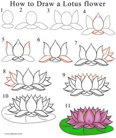 how to draw a lotus flower step by step instructions for beginners and advanced students