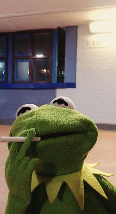 Kermit Funny, Frog Wallpaper, Whatsapp Wallpaper, Swag Cartoon, Aesthetic Candles, Kermit The Frog, Funny Reaction Pictures, Cartoon Profile Pics