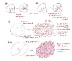 the instructions for how to draw flowers in chinese