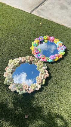 two mirrors with flowers and clouds on them sitting in the grass next to each other