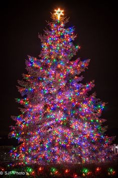 a large christmas tree is lit up with multicolored lights