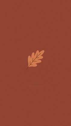 an orange and brown leaf on a red background