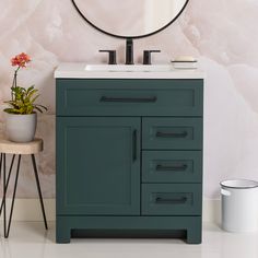 a bathroom vanity with a mirror above it and a potted plant next to it