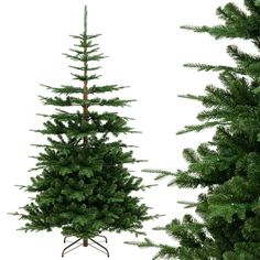 three different types of christmas trees are shown in this image, one is green and the other is brown