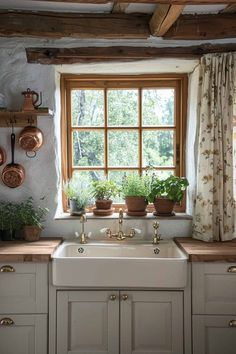 a kitchen sink sitting under a window in front of a window with potted plants