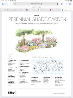 an image of a garden with flowers and trees on it, including the words perennial shade garden