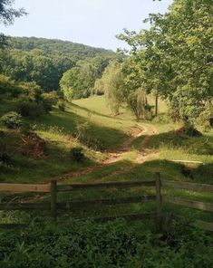 a dirt road in the middle of a lush green field