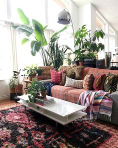 a living room filled with lots of plants next to a white coffee table and couch