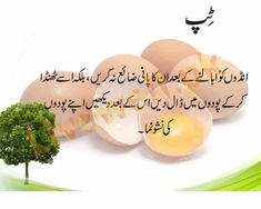 an advertisement for eggs in the language of pakistan, which is also used as a poster