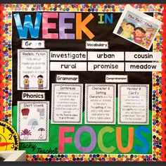 a bulletin board with the words week in focus and pictures on it, including an image of