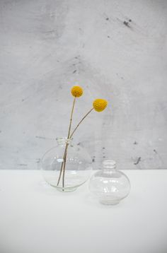 two clear vases with yellow flowers in them on a white countertop against a gray wall