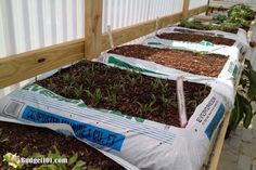 several bags filled with dirt sitting on top of a wooden table next to plants in containers