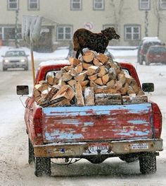 a dog standing on the back of a red truck filled with firewood and logs