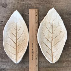 two leaf shaped dishes sitting on top of a wooden table next to a measuring ruler