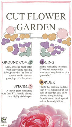 A photo of ten shrubs that can be used for cut flower gardens. It includes Pearl Glam beautyberry, Wee Bit Grumpy hydrangea, Tiny Quick Fire hydrangea, Invincibelle Lace hydrangea, Scentara Pura lilac, Double Take Eternal White quince, Rise Up Lilac Days rose, Reminiscent Pink rose, The Velvet Fog smokebush, and White Album wintercreeper. Small Corner Flower Garden, Cut Flower Garden Layout Design, Front Yard Cut Flower Garden, Rose Garden Design Layout Flower Beds, English Cottage Garden Design Layout, Small Cut Flower Garden Layout, Cut Flower Garden Layout, Flower Garden Layout, Picking Garden