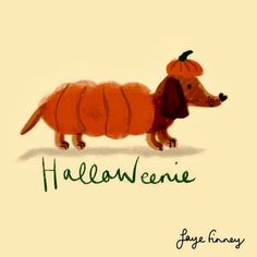 an orange dachshund with a pumpkin on it's head and the words halloween written in green ink